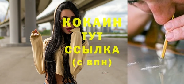 твердый Аркадак