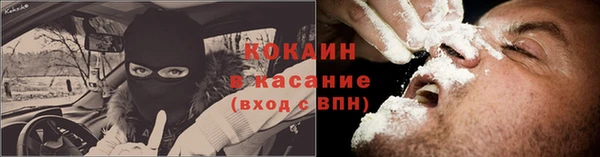 твердый Аркадак