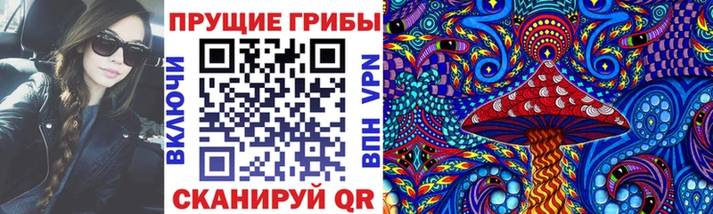 купить  цена  Чебаркуль  Псилоцибиновые грибы ЛСД 